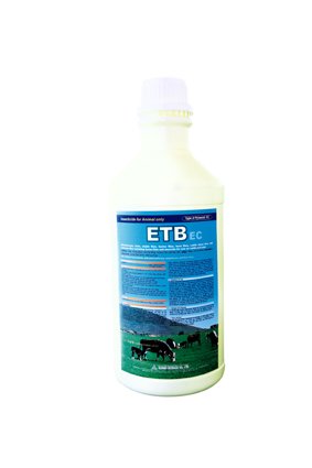 ETB EC  Made in Korea